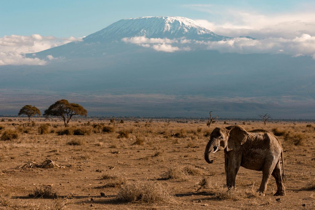 14-Day Tanzania Mid-Range Tour